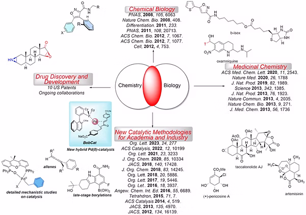 Pd-Catalyzed Synthesis